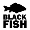 http://blackfishteam.com/image/catalog/logo/black-fish-logo.jpg